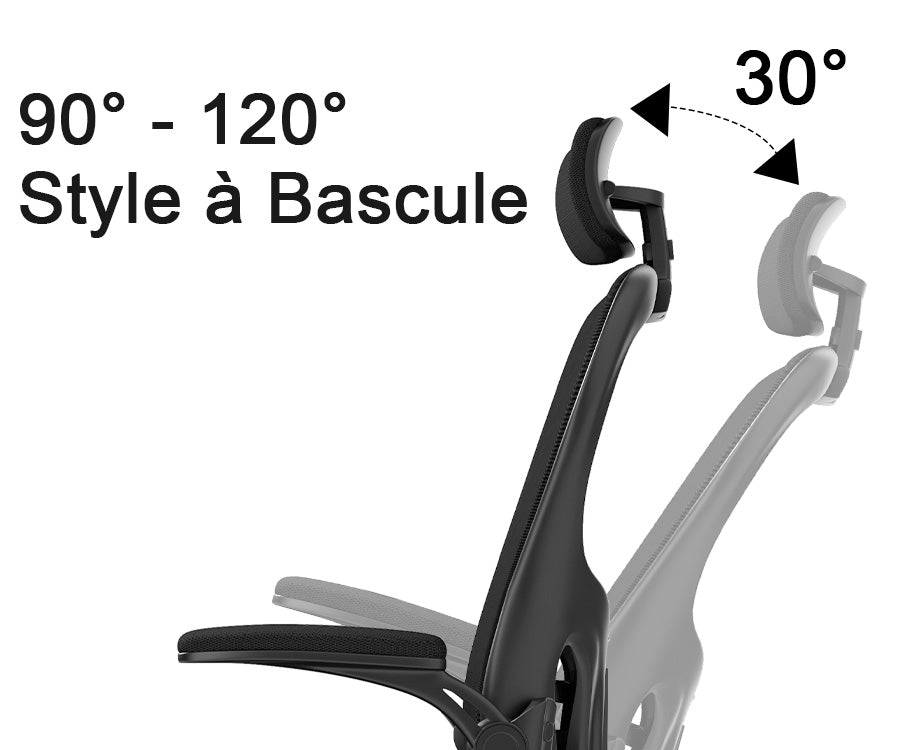 Dossier Réglable