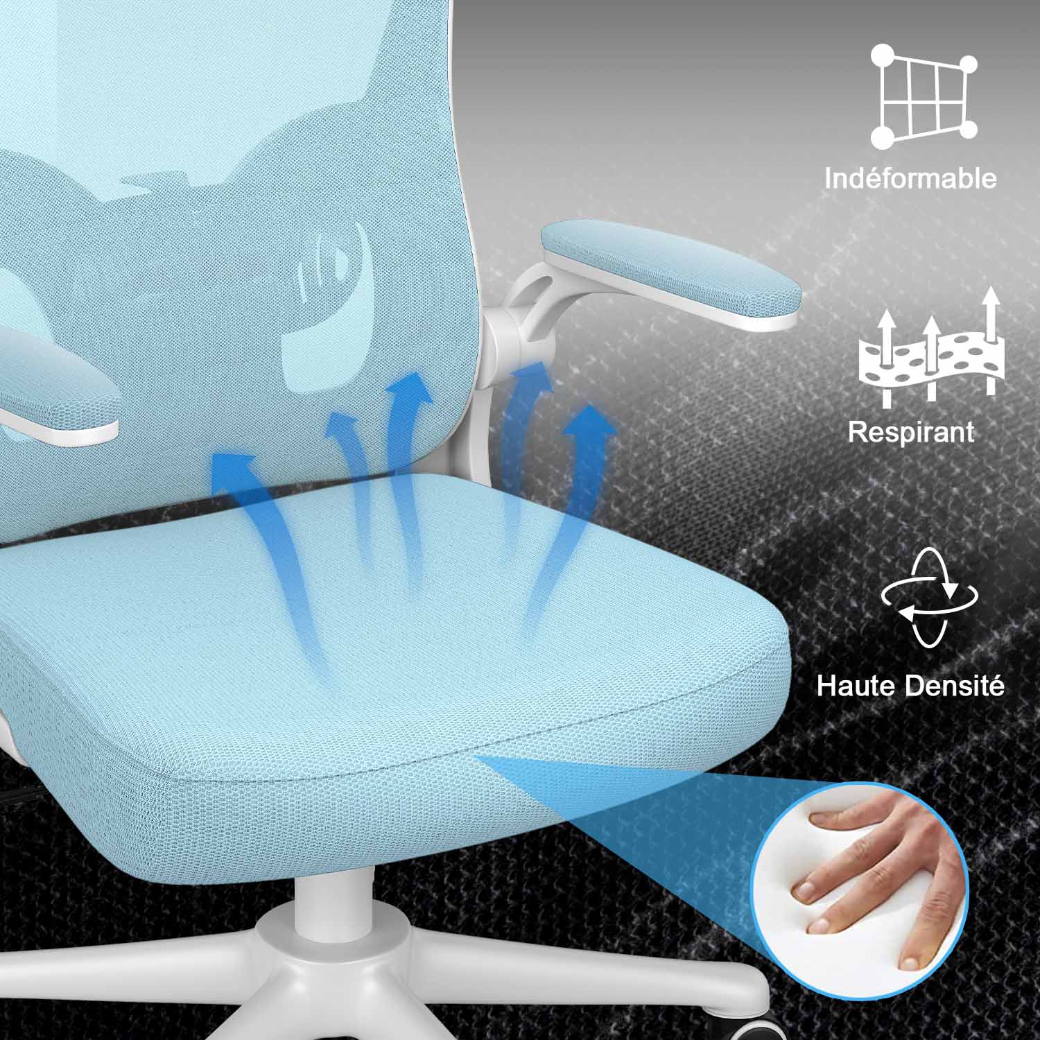 Chaise de Bureau, Siege de Bureau Ergonomique avec Support Lombaire et accoudoir réglable, Fauteuil de Bureau d'une capacité maximale de 150 kg
