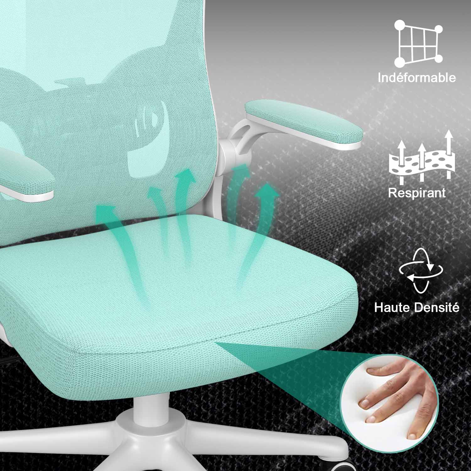 Chaise de Bureau, Siege de Bureau Ergonomique avec Support Lombaire et accoudoir réglable, Fauteuil de Bureau d'une capacité maximale de 150 kg